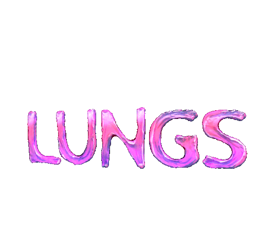 We Need Our Lungs More Than Ever Lungs Sticker - We Need Our Lungs More Than Ever Lungs Breathing Stickers