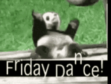 Friday Happy Panda GIF