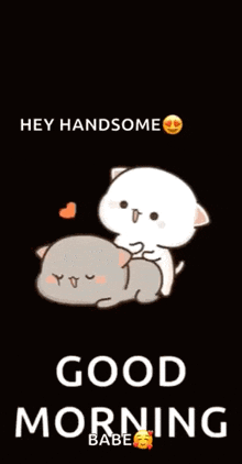 a cartoon of two cats laying next to each other with the words " hey handsome good morning babe " below them