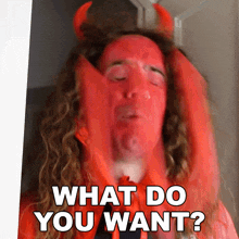 What Do You Want Bradley Hall GIF - What Do You Want Bradley Hall What Now GIFs