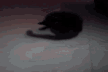 a silhouette of a person standing in the dark