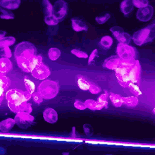 Jellyfish Gif Colors GIF - Jellyfish Gif Colors Water GIFs