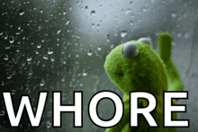 a kermit the frog is looking out a window with the word whore in front of it