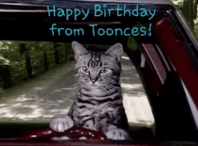 Birthday Toonces GIF - Birthday Toonces Cat GIFs