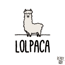 Alpaca Llama GIF - Alpaca Llama Animation GIFs