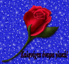 καληνυχτα Rose GIF - καληνυχτα Rose Sparkle GIFs