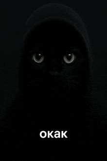 a black cat wearing a hooded jacket with the word okak written below it