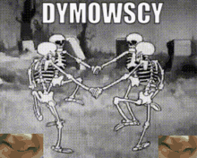 dymowscy hvh