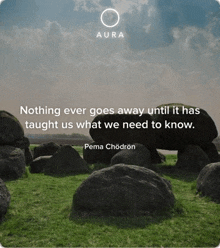 nothing ever goes away until it has taught us what we need to know by pama chodron