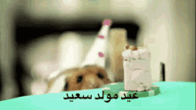 عيد ميلاد سعي GIF - Birthday Hamster Happy Birthday GIFs