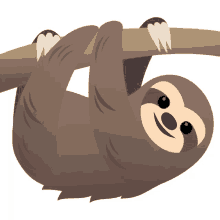 sloth nature joypixels hanging adorable