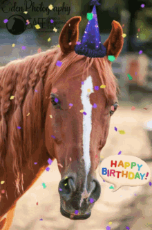 save a forgotten equine safe horse birthday happy birthday