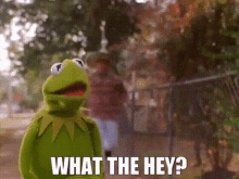 Muppets Kermit The Frog GIF - Muppets Kermit The Frog What The Hey GIFs