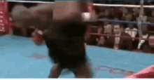 Tyson Mike GIF - Tyson Mike Laughing GIFs