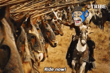 Tribe Ride Now GIF - Tribe Ride Now GIFs