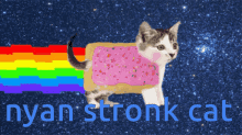 Nyan Cat Gif GIF - Nyan Cat Gif GIFs