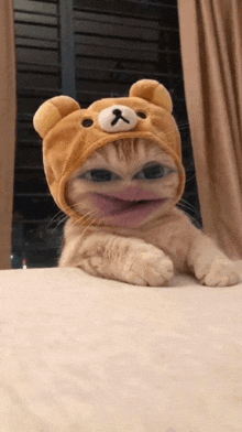 a cat is wearing a teddy bear hat with its mouth open .