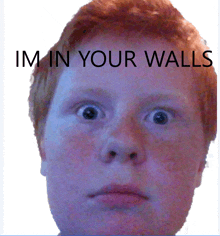 a man with red hair has the words im in your walls on his face