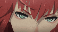 a close up of a woman 's eyes with red hair