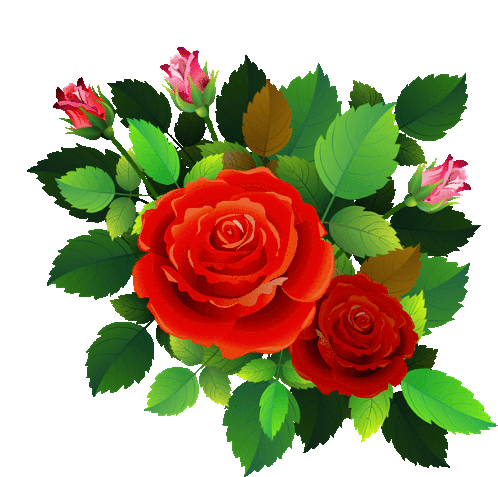 Rose Abdesh Maurya Roses Sticker - Rose Abdesh Maurya Roses Flower Stickers
