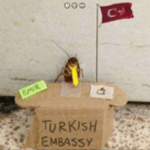 a cockroach is sitting at a desk with a cardboard box that says turkish embassy