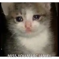 a close up of a crying cat with the words `` miss you marcjaniel '' written on the bottom