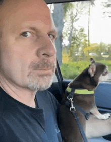 a man is sitting in the back seat of a car with a small dog on his lap .