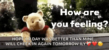 a teddy bear is sitting on a bench with the words how are you feeling .