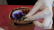 a person wearing white gloves is holding a basket with a purple flower in it