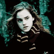 Hermione Granger Hermione GIF