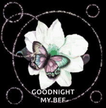 Butterfly Goodnight GIF - Butterfly Goodnight Good Night Bff GIFs