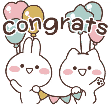 congratulations celebrate