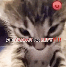 a close up of a cat 's face with the words `` you cannot be eepy '' written above it .