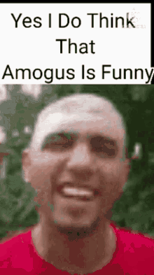 amogus among
