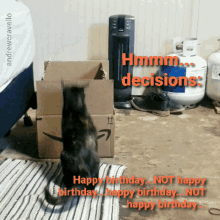 Happy Birthday Hmm Decisions GIF - Happy Birthday Hmm Decisions Cat GIFs