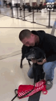 Scratching The Dog Happily GIF - Scratching The Dog Happily I Miss You GIFs