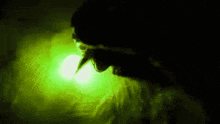 a person in a dark room with a green light shining on them