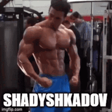 Shadyshkadov Litic GIF - Shadyshkadov Shady Shkadov GIFs