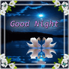 Good Night Swan GIF - Good Night Swan Light GIFs