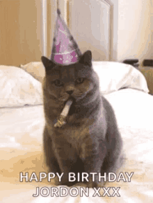 Cat Birthday GIF