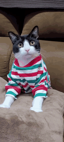 Abell46s Cat GIF - Abell46s Cat Cats GIFs