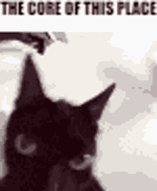 Cat The Voices GIF - Cat The Voices The Core GIFs