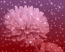 Sparkle Love Quote GIF - Sparkle Love Quote Flowers GIFs