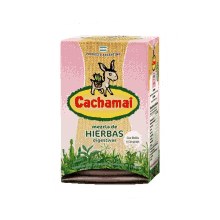 Tea Cachamai GIF - Tea Cachamai Cachamate GIFs