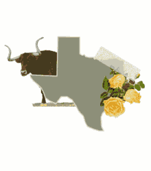 texas states