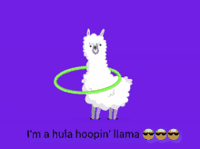 Llama Hula Hoopin GIF - Llama Hula Hoopin Happy GIFs