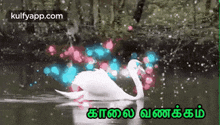Tamil.Gif GIF - Goodmorning Tamil GIFs