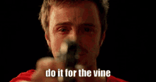 Do It For The Vine GIF - Do It For The Vine Do It GIFs