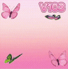 a pink background with butterflies and the words siiiing capt gigi on it