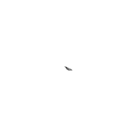 a whale shark is swimming in the water and its mouth is open